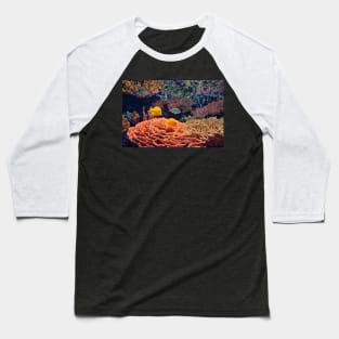 USA. Seattle. Aquarium. Coral Reef. Baseball T-Shirt